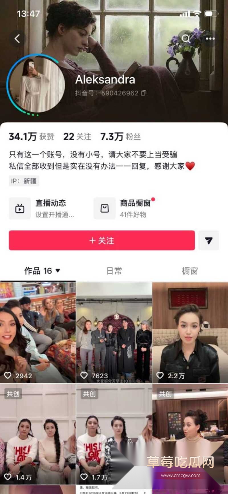 新疆网红Sadakat 3