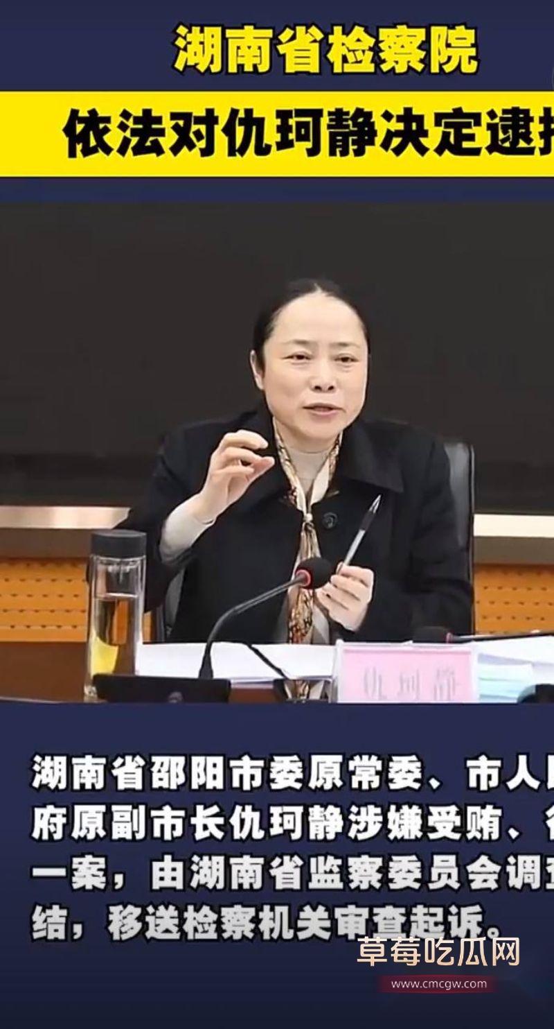 最湖南邵阳美副市长仇珂静2 最湖南邵阳美副市长仇珂静2