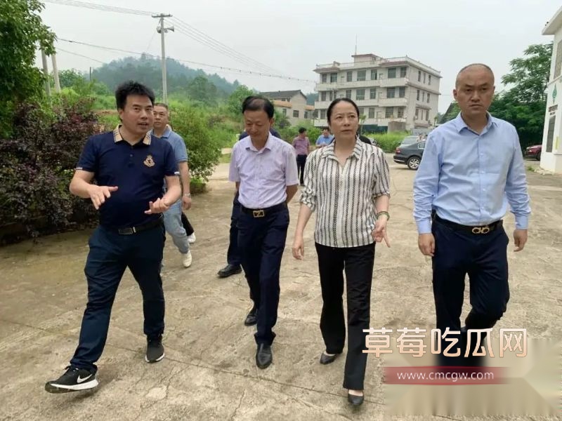 最湖南邵阳美副市长仇珂静9 最湖南邵阳美副市长仇珂静9