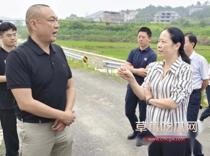 最湖南邵阳美副市长仇珂静11 最湖南邵阳美副市长仇珂静11