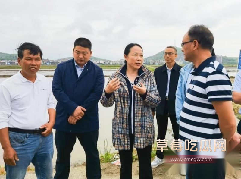 最湖南邵阳美副市长仇珂静12 最湖南邵阳美副市长仇珂静12