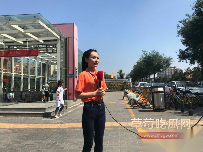 山西台记者薛嘉茜1