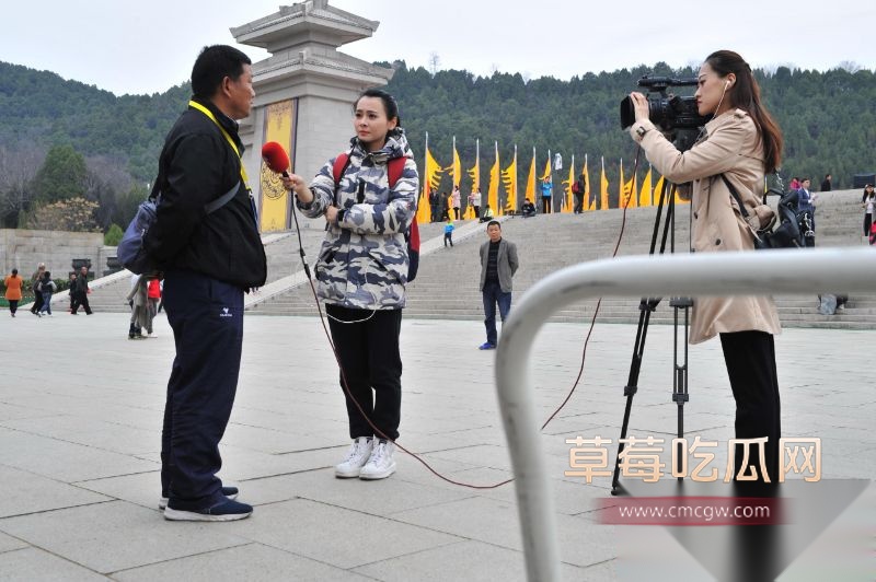山西台记者薛嘉茜4