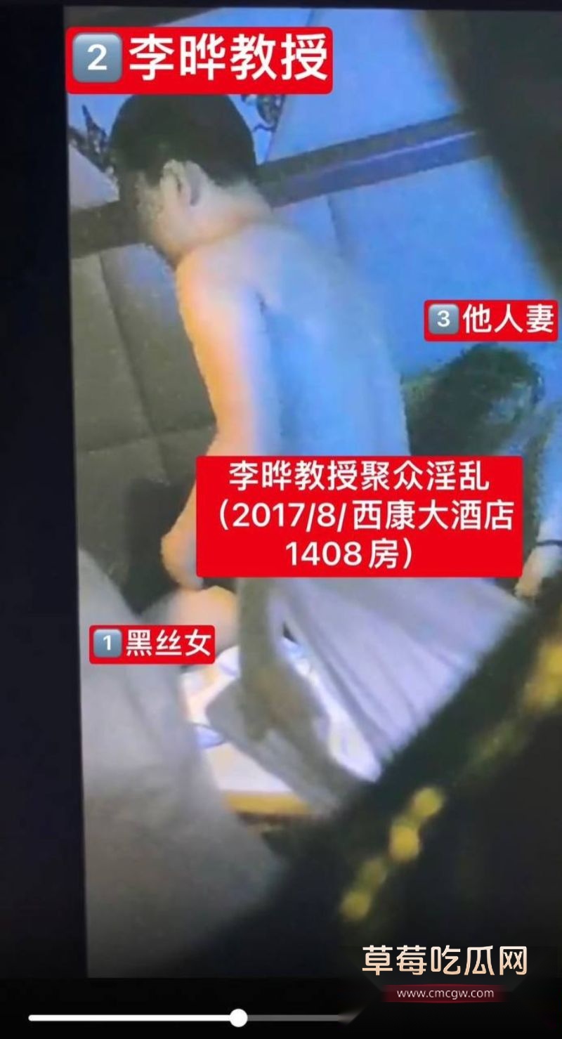 医学院教授李晔聚众淫乱6 医学院教授李晔聚众淫乱6