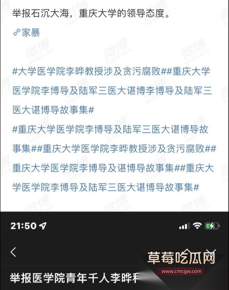 李晔谌小维贪污腐败8 李晔谌小维贪污腐败8