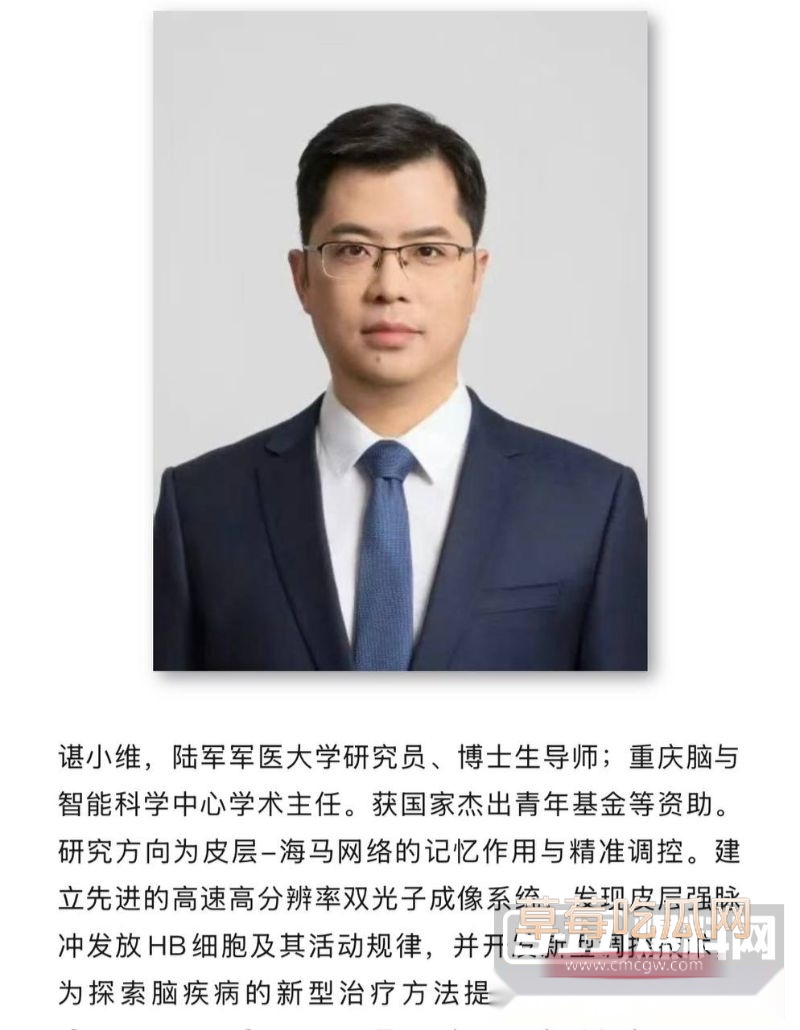 李晔谌小维贪污腐败9 李晔谌小维贪污腐败9