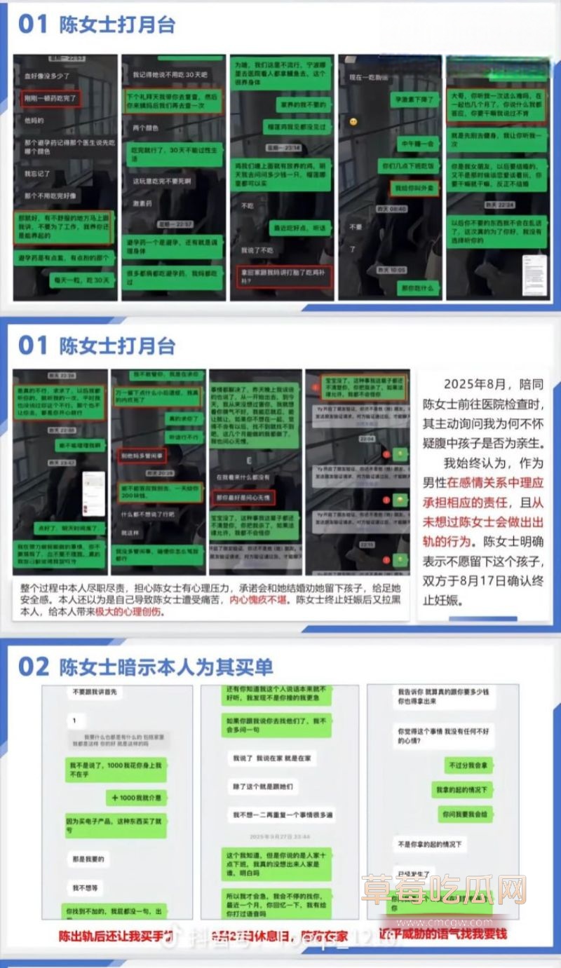 织里轧村陈女士出轨事件PPT1