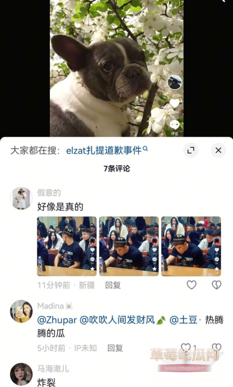 伊力扎提事件的评论区5 伊力扎提事件的评论区5