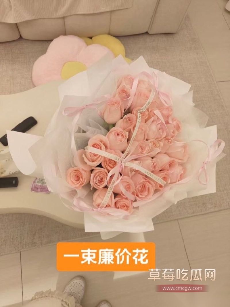 2026马年第一捉 16