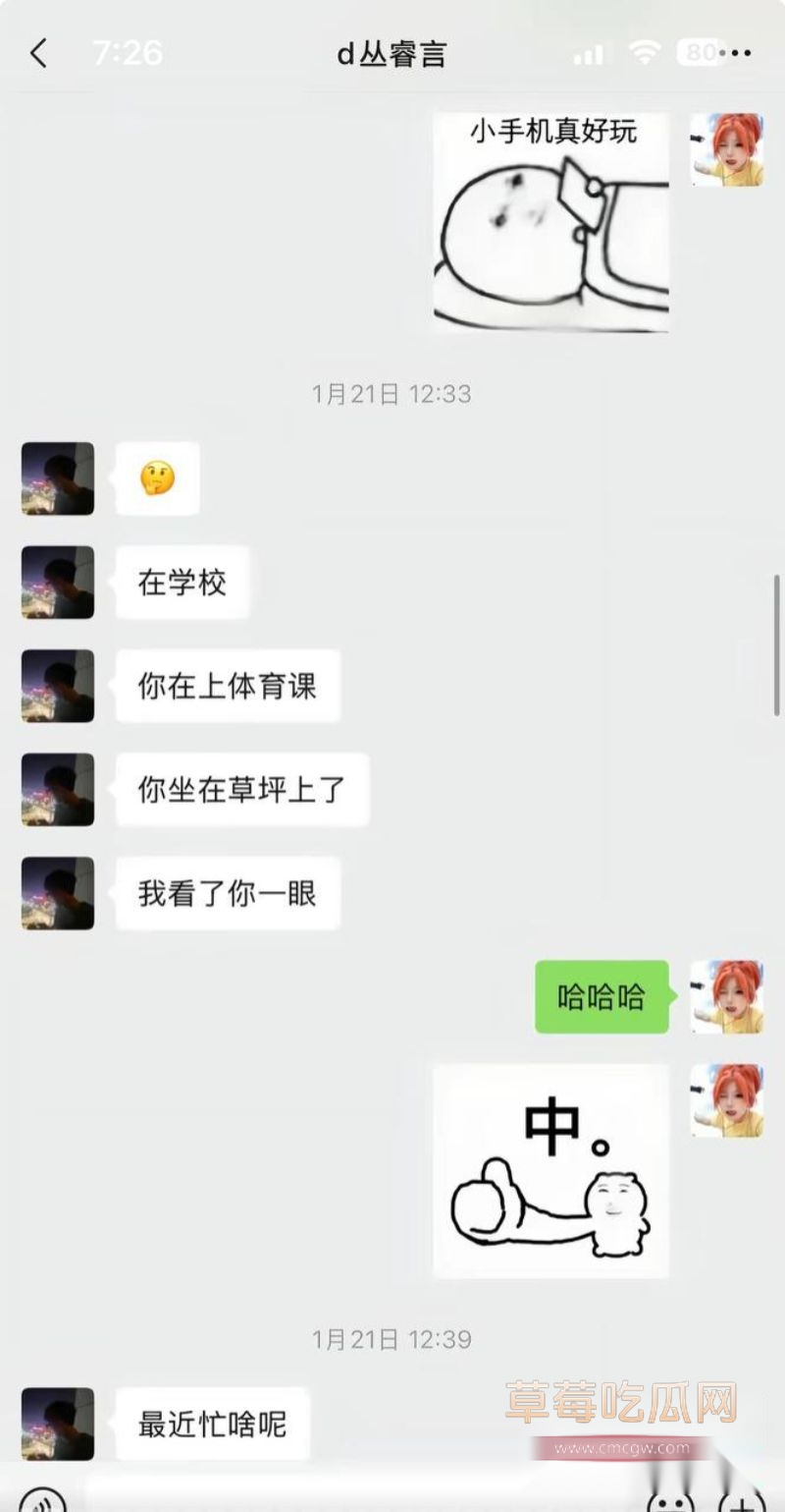 丛睿言事件相关的聊天记录2