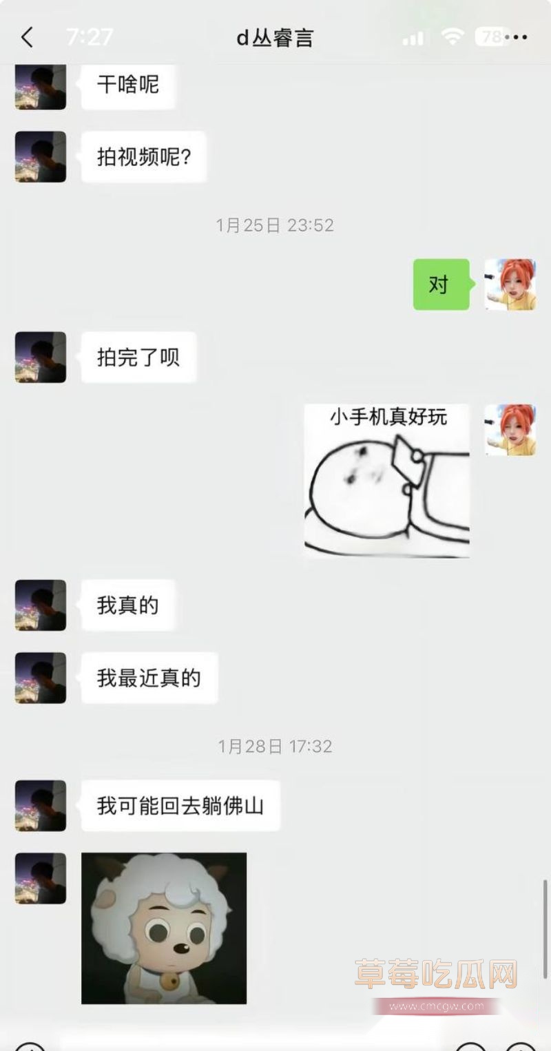 丛睿言事件相关的聊天记录8