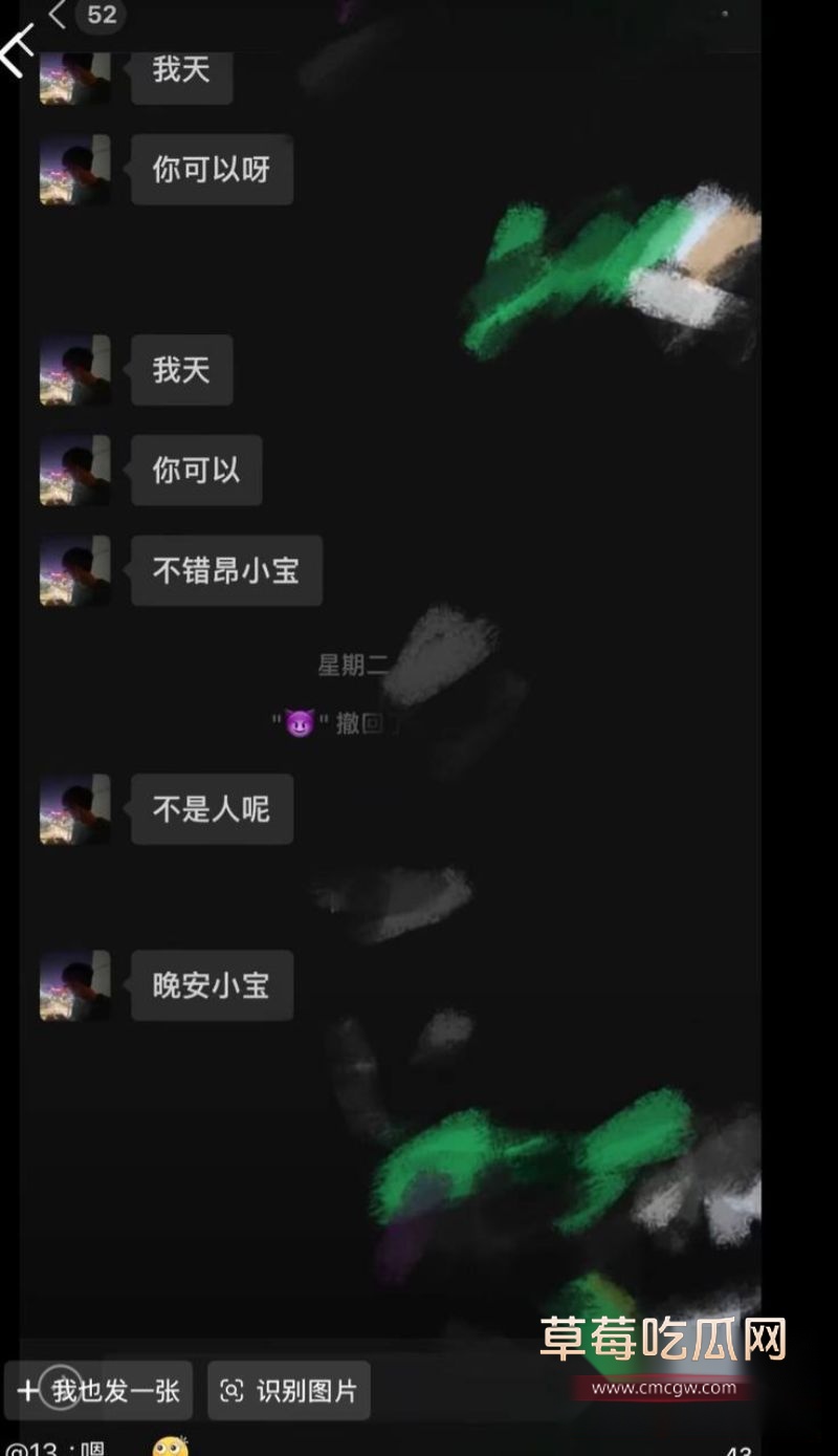 丛睿言事件相关的聊天记录12