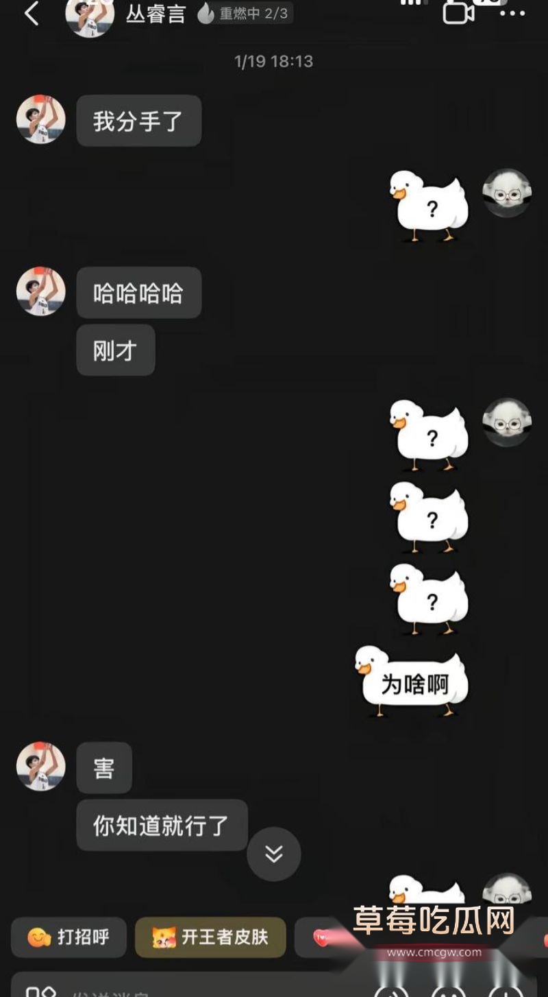 丛睿言事件相关的聊天记录23