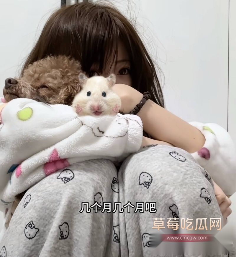 邪恶小酥肉 5 邪恶小酥肉 5