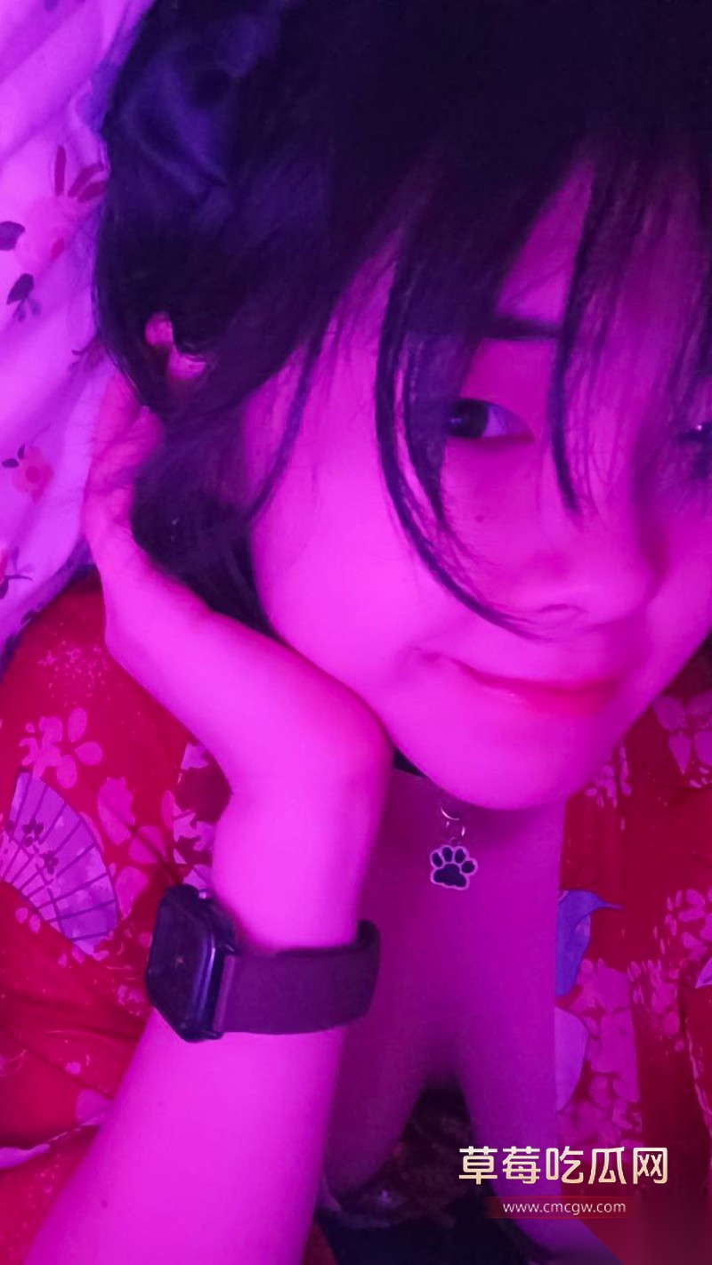 山东陈洛5 山东陈洛5