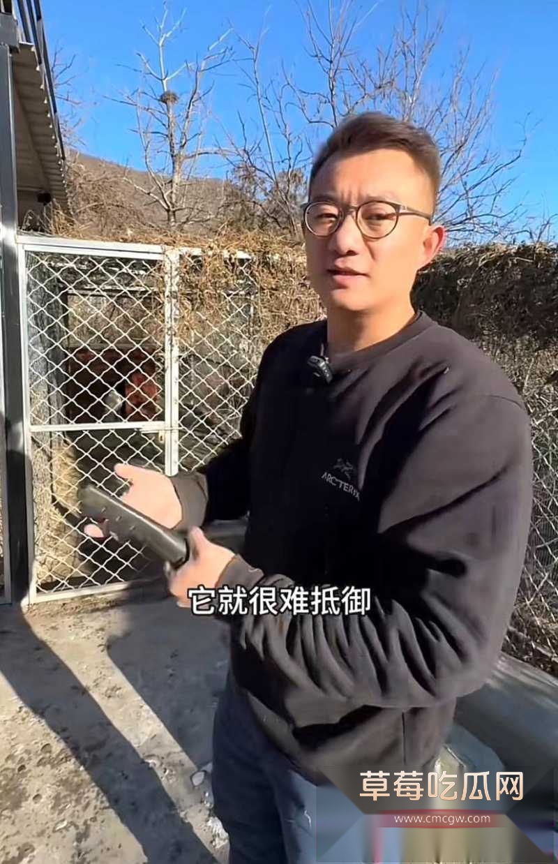 photo20260216111453 photo20260216111453