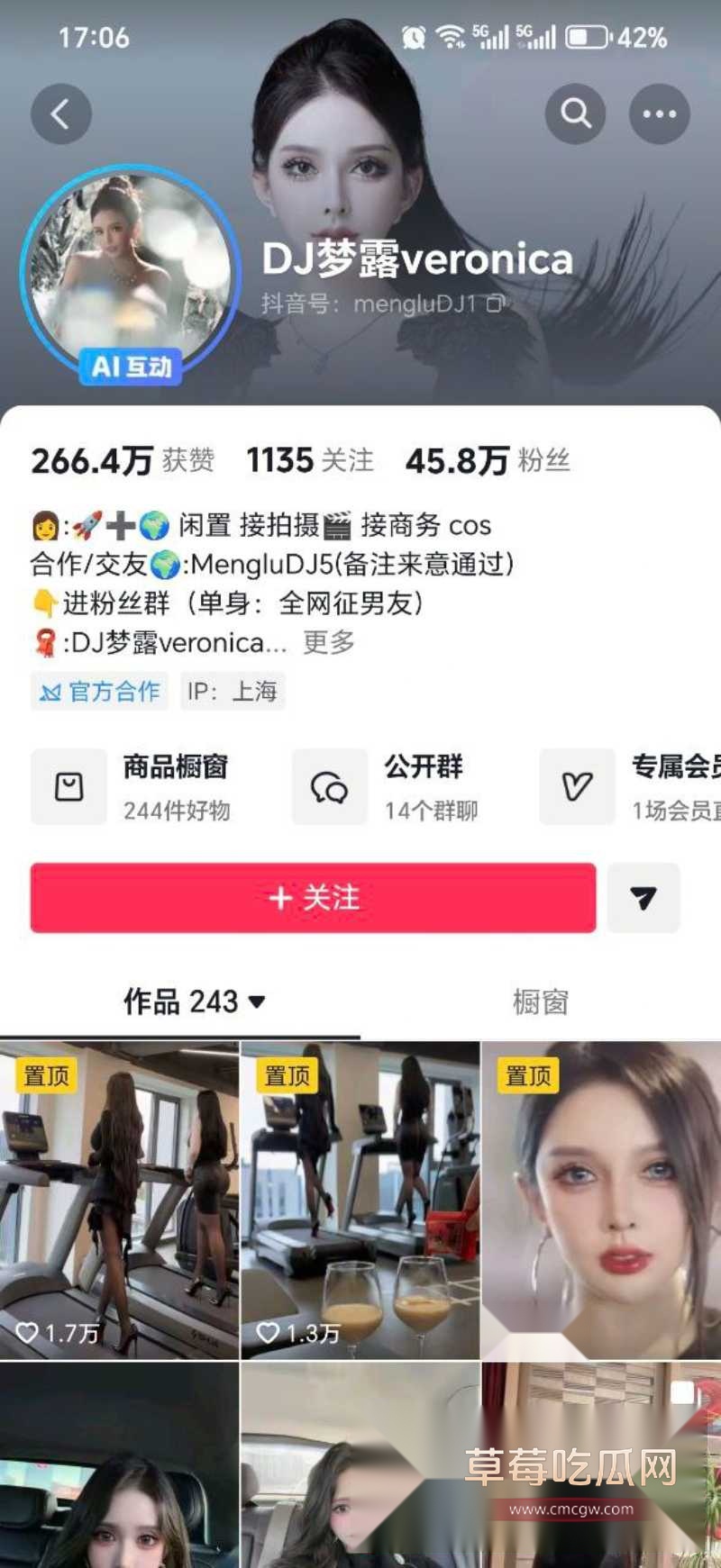 DJ梦露Veronica 3 DJ梦露Veronica 3