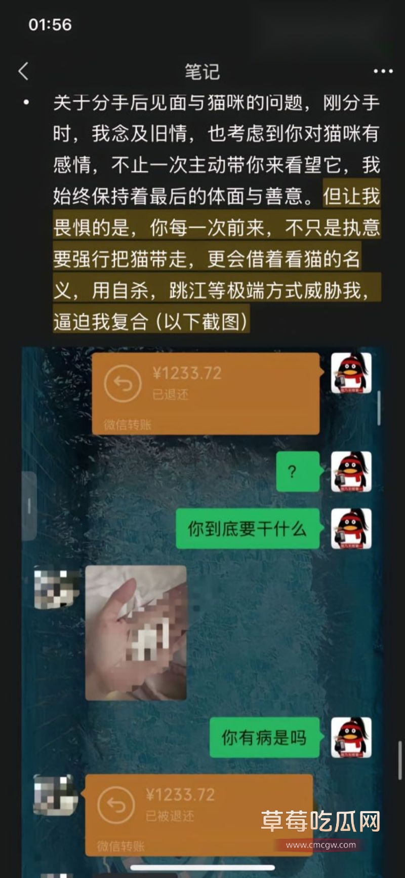 安凯尔前女友发文24 安凯尔前女友发文24