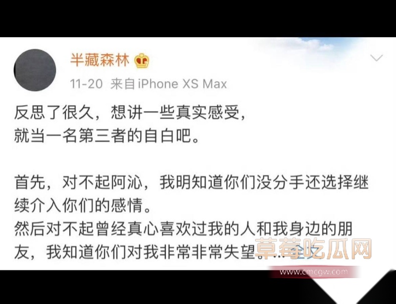 刘阳出轨半藏森林 7