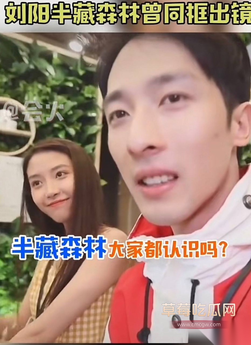 刘阳出轨半藏森林 9