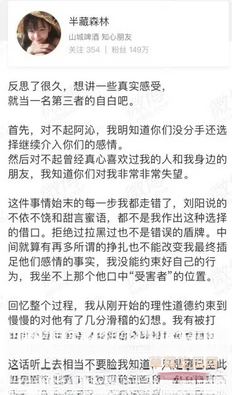 刘阳出轨半藏森林 17