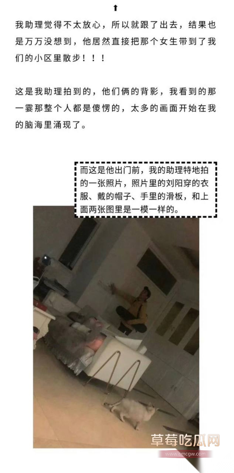 刘阳出轨半藏森林 30