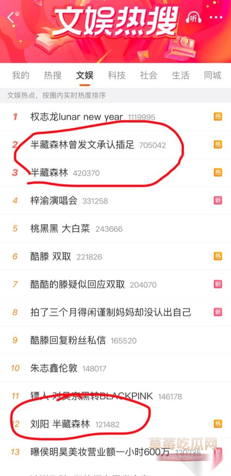 刘阳出轨半藏森林 35