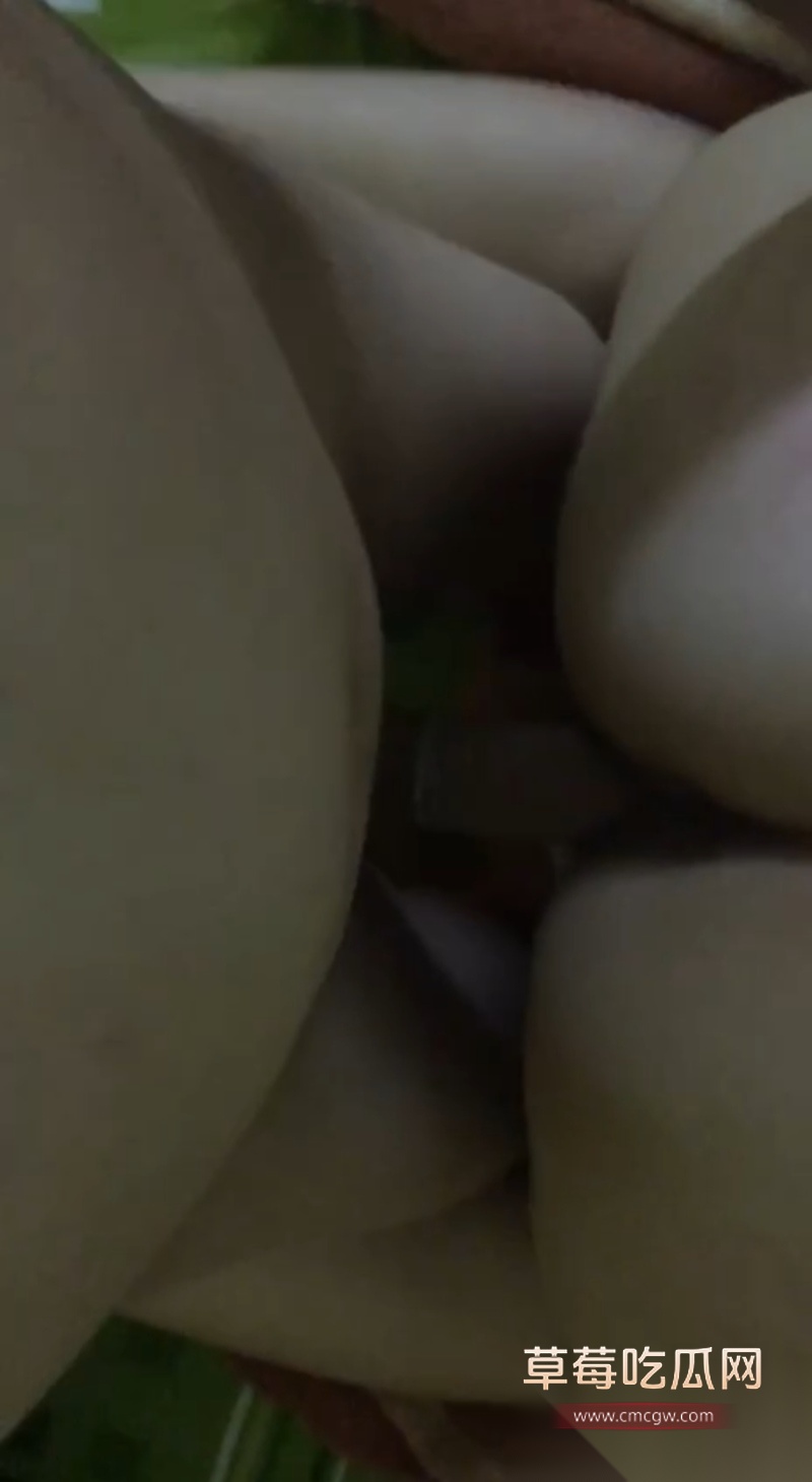 抖音网红 Nairi阿萱 1 抖音网红 Nairi阿萱 1