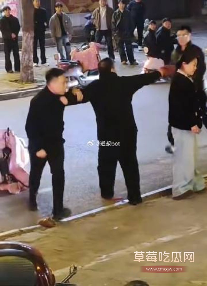 河南平顶山暴力事件6 河南平顶山暴力事件6