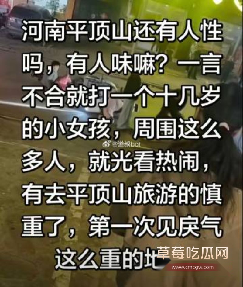 河南平顶山暴力事件7 河南平顶山暴力事件7