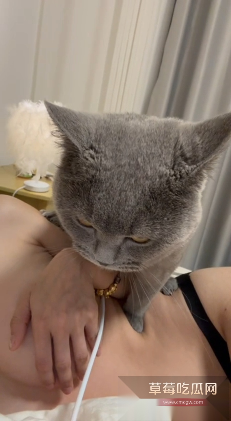 抖音留学生 鱼鱼 5 抖音留学生 鱼鱼 5