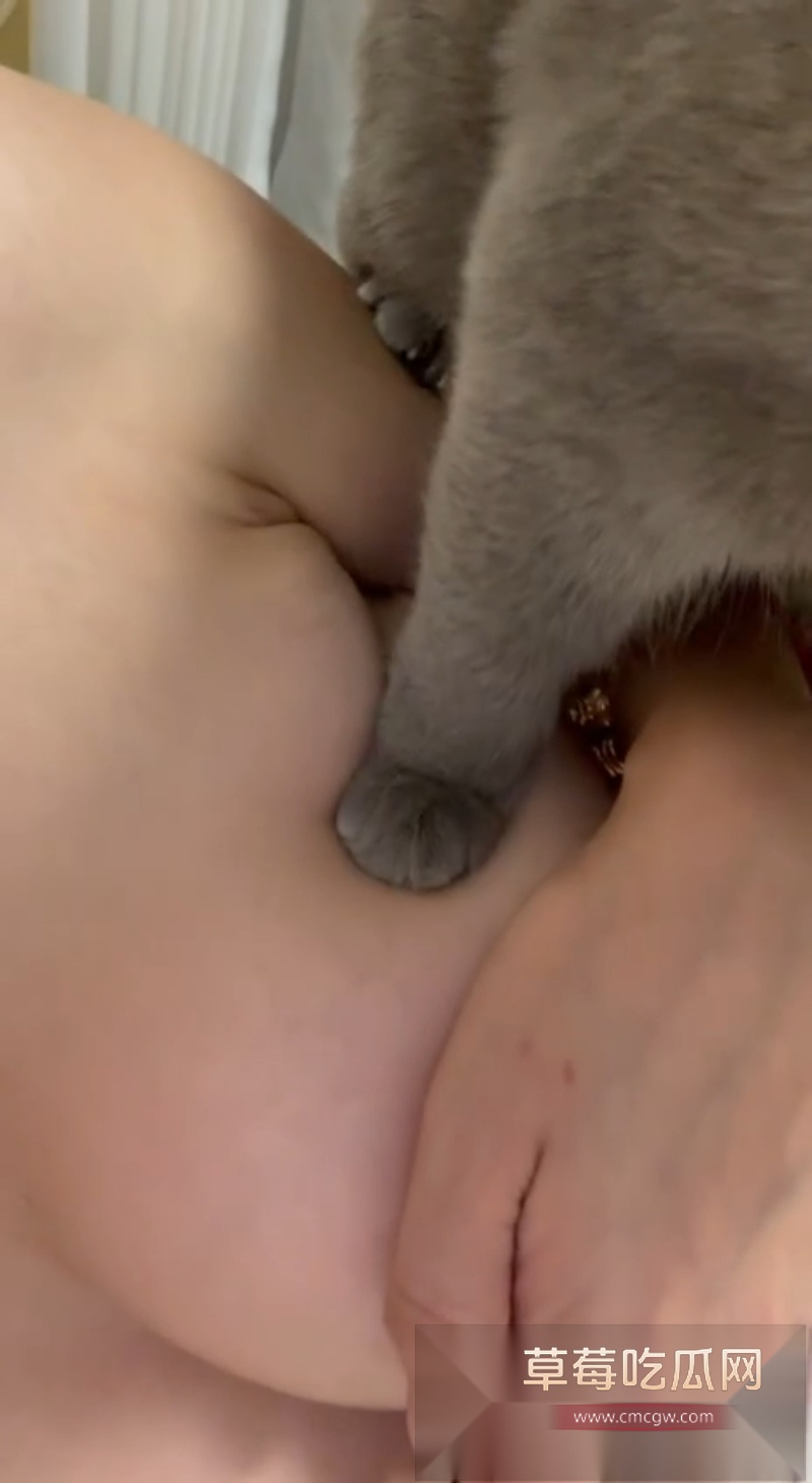 抖音留学生 鱼鱼 6 抖音留学生 鱼鱼 6