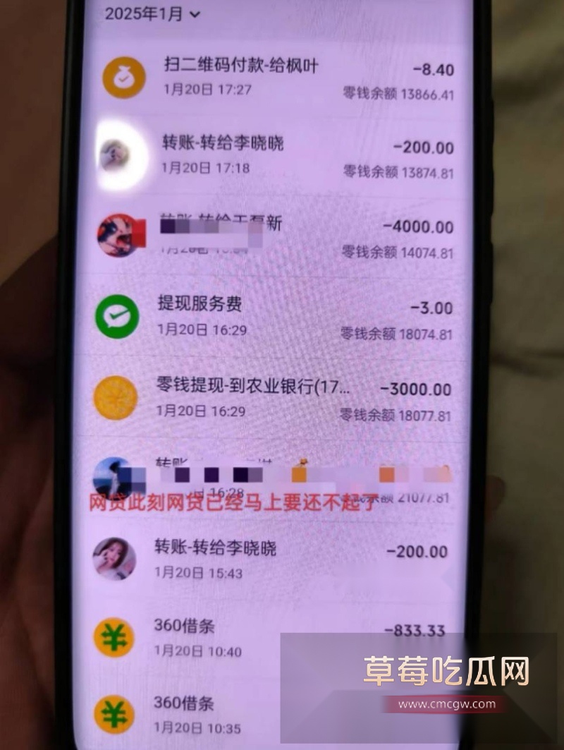 贷款数万也要给鸡买花开房！蓬莱王海涛逼瘾上头 到处约鸡示爱 18