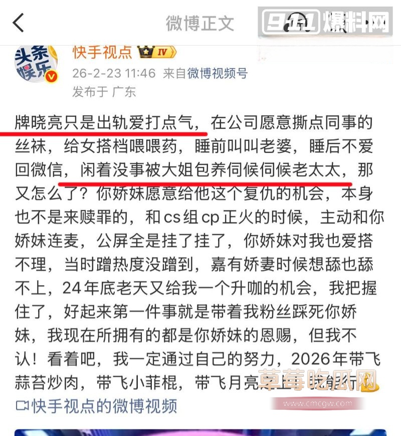 牌晓亮被曝光出轨当鸭子3