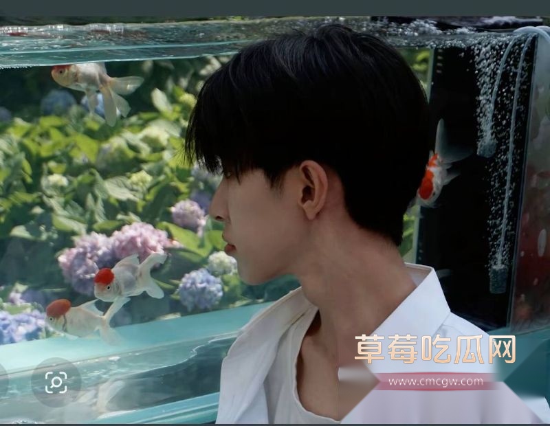 游戏主播池鱼的相关照片13 游戏主播池鱼的相关照片13