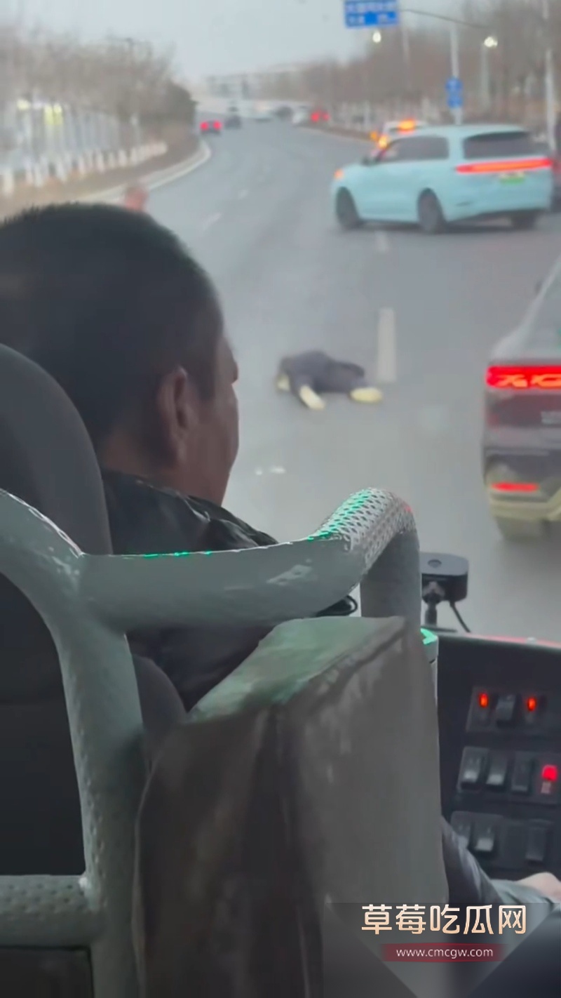 河北公路惊现 斧头砍人 3 河北公路惊现 斧头砍人 3