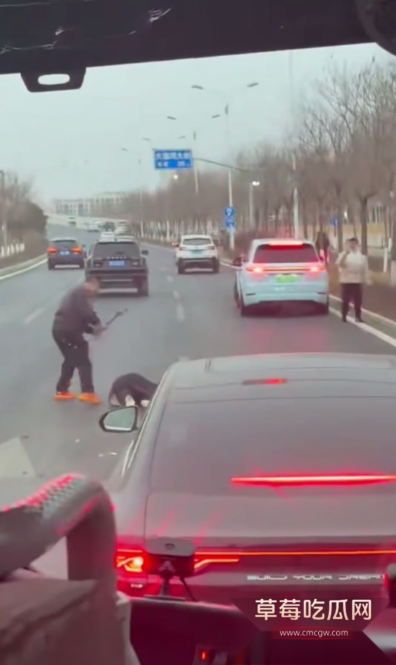 河北公路惊现 斧头砍人 9 河北公路惊现 斧头砍人 9