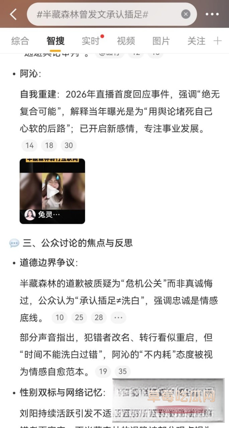 刘阳出轨半藏森林 4