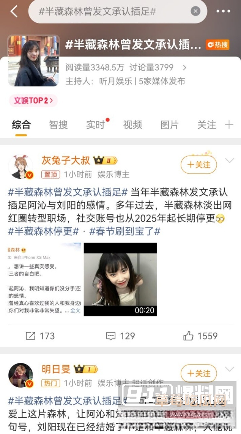 刘阳出轨半藏森林 10