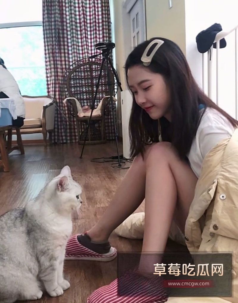 刘阳出轨半藏森林 16