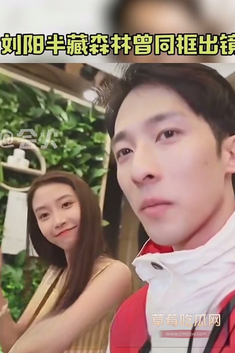 刘阳出轨半藏森林 19