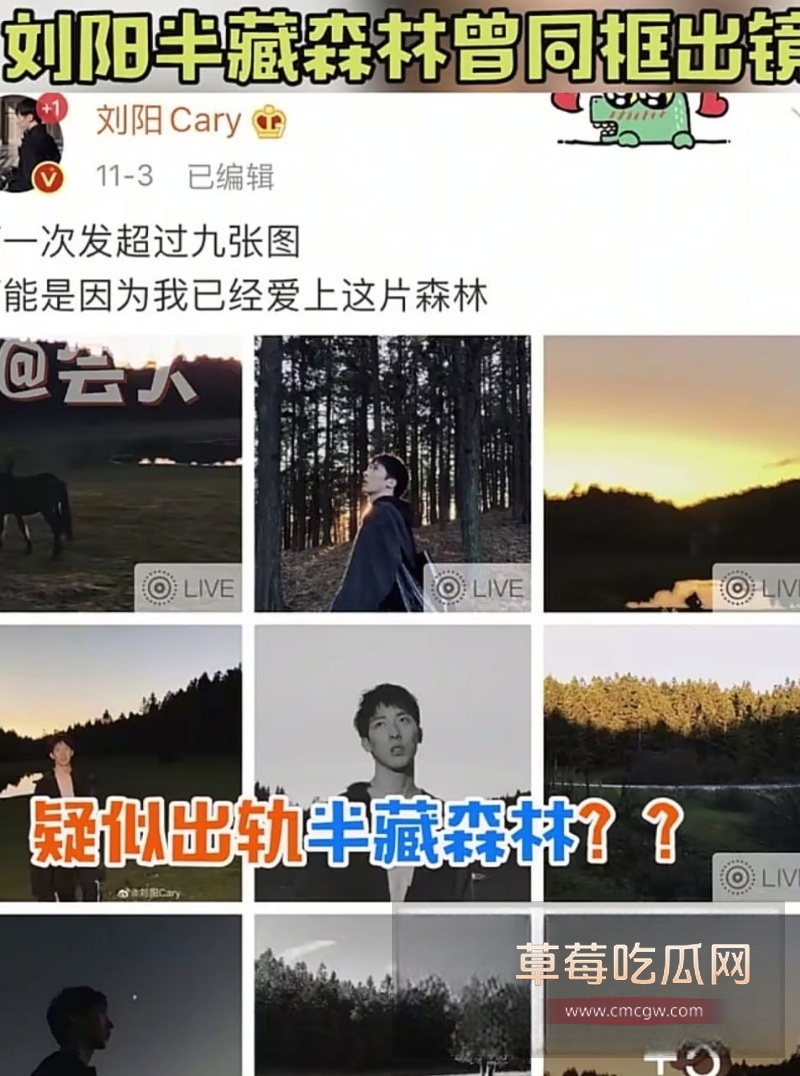 刘阳出轨半藏森林 20