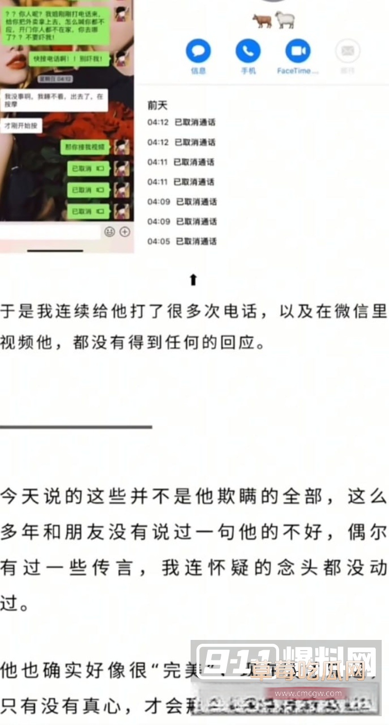 刘阳出轨半藏森林 29