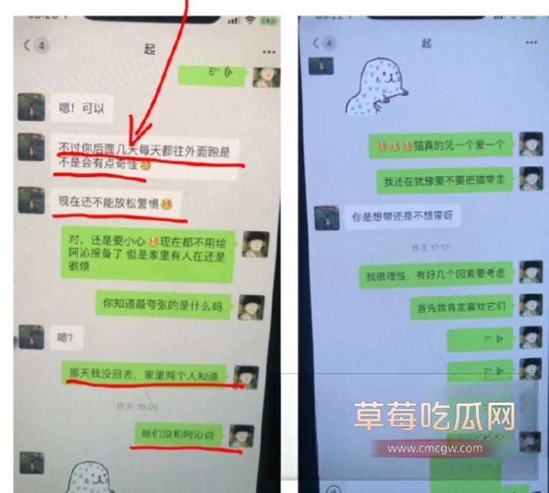 刘阳出轨半藏森林 33