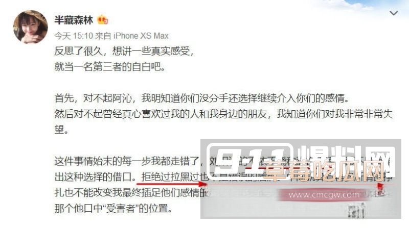 刘阳出轨半藏森林 39