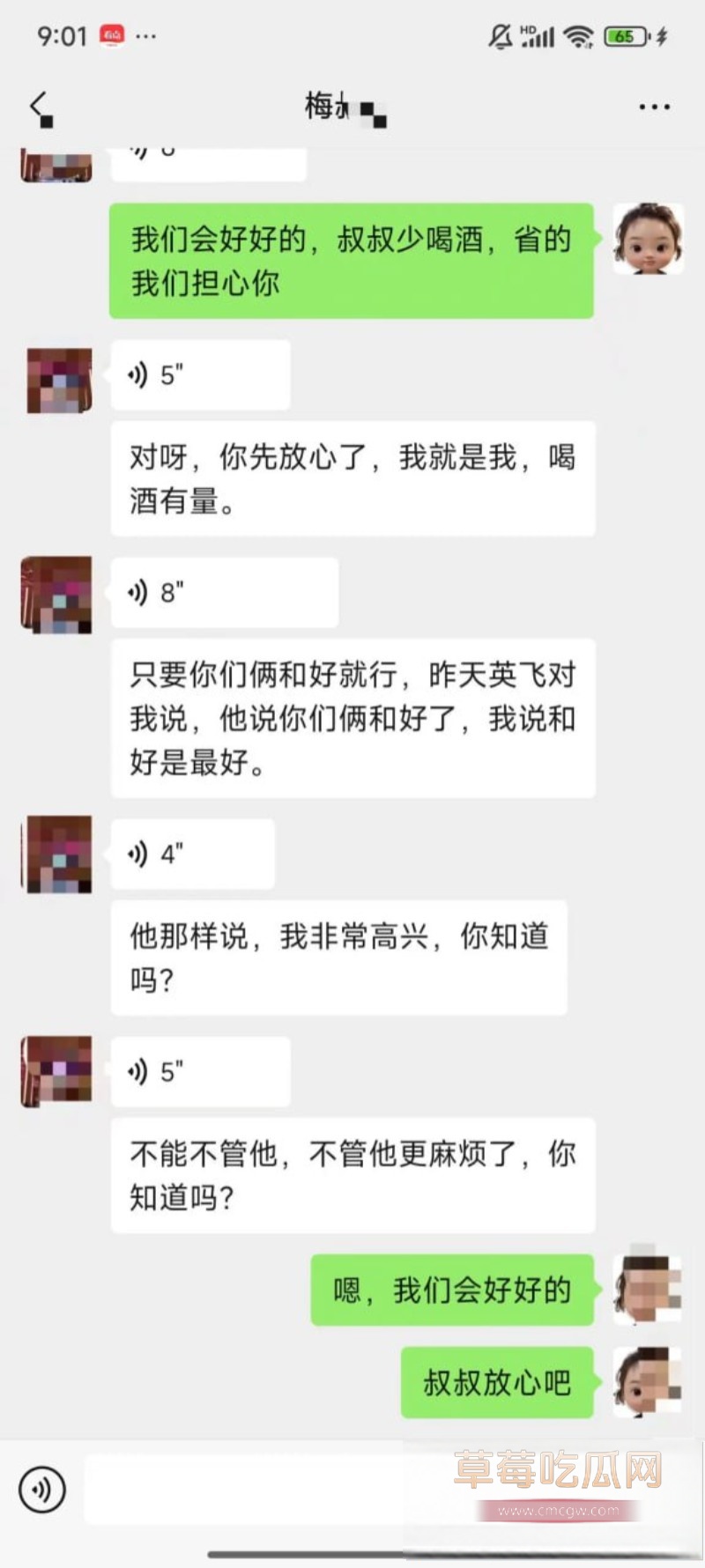 梅九亮 10 梅九亮 10