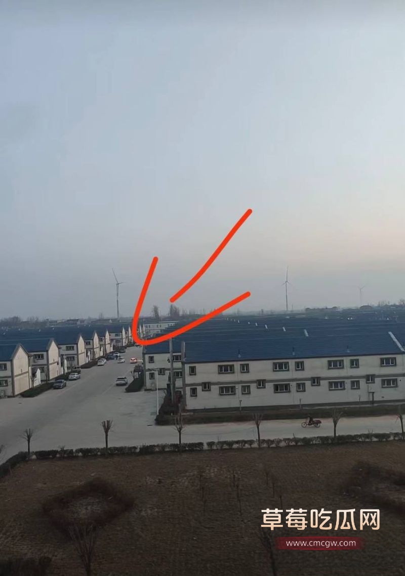 山东菏泽单县张集出轨事件8 山东菏泽单县张集出轨事件8