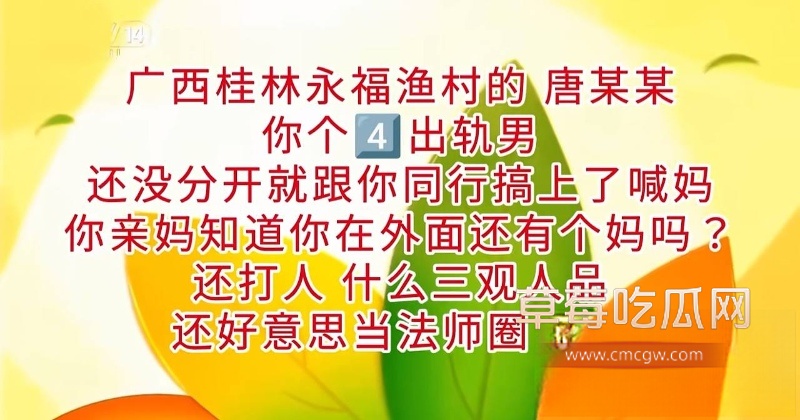 唐法瑞被女友曝光家暴 14