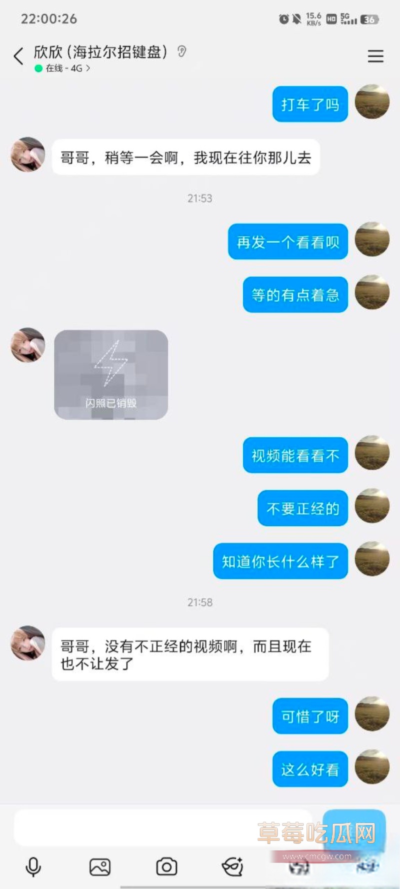 群友不讲武德点鸡放鸽子 17 群友不讲武德点鸡放鸽子 17