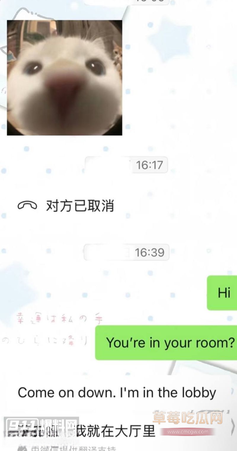 浙江女和老外的聊天记录9 浙江女和老外的聊天记录9